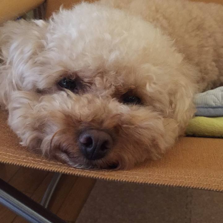 77b1cac7 c9ba 4cb6 98af 15633a631619