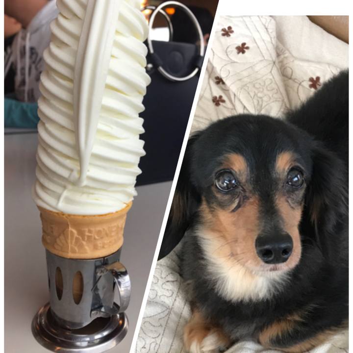 77b1e903 d405 44ea ac1c b3356df44b80