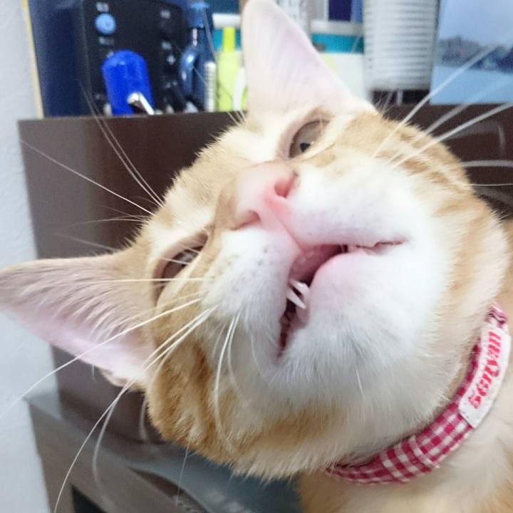 77b2ad4d f1f0 4167 aaef 927c728b0a55