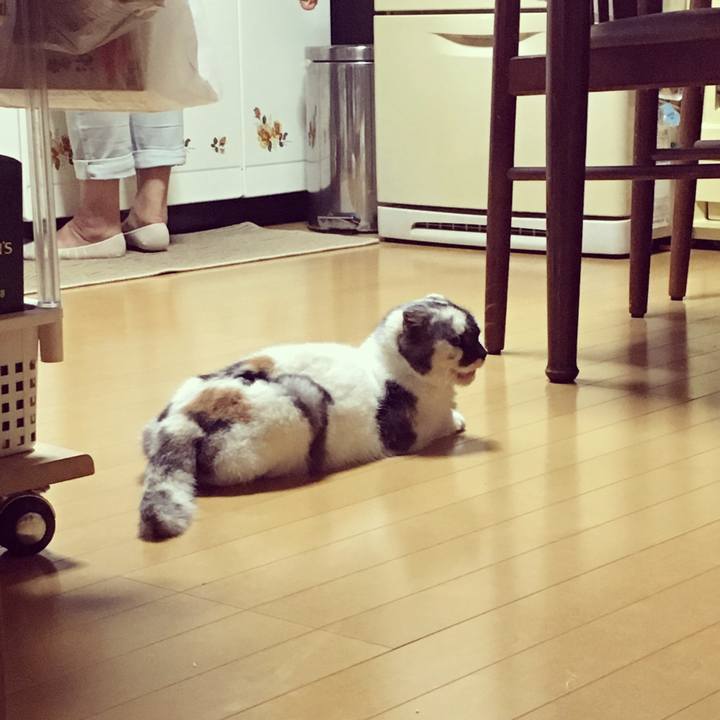 77b2ddd7 c03b 4ef1 87b6 949c1b230f1f