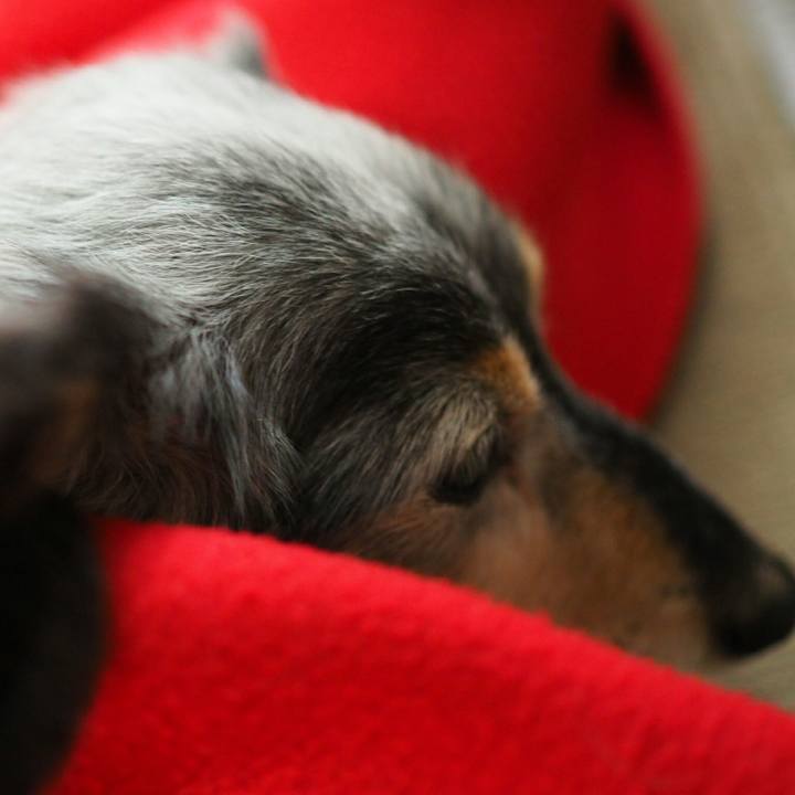 77b2f40f c399 459f a450 6409fdab233c