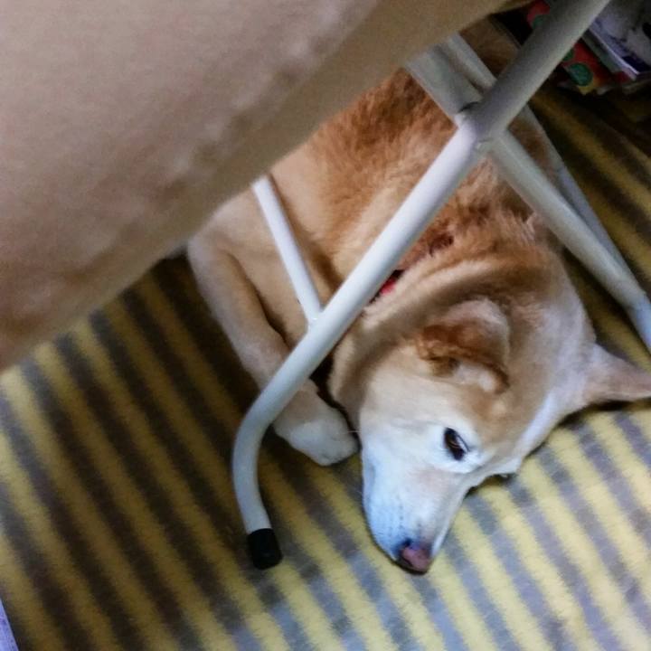 77b35abe 4de7 4322 92cd 9fe6a0a4bff5