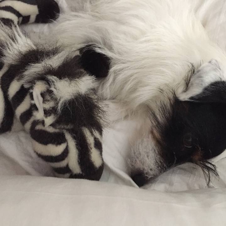 77b37a6b 8e9e 468b b597 e6523449d935