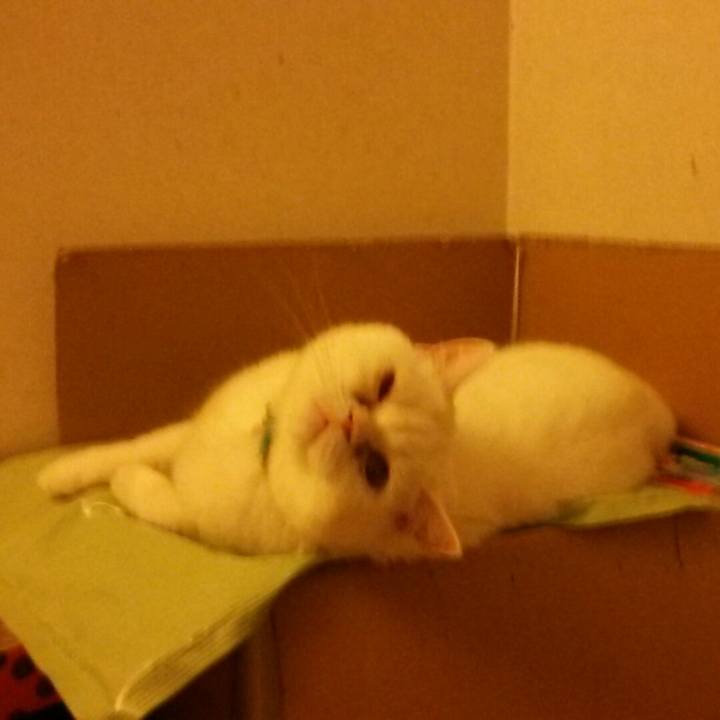 77b39a42 156f 4d15 8370 882ced15c2e0