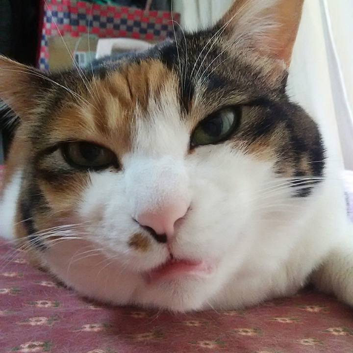 77b3c698 b634 4e06 9e7c 4a5d5220b1f5