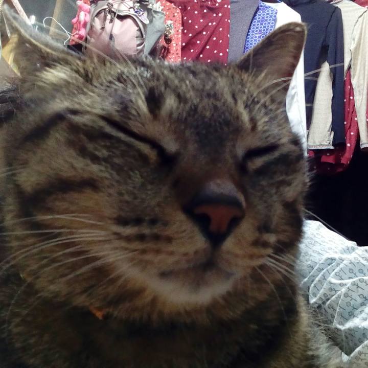 77b46417 bf5f 4a4c 99be ab2ed49b9608