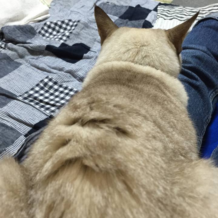 77b49f50 4e34 497f 979b cc4585eb89de