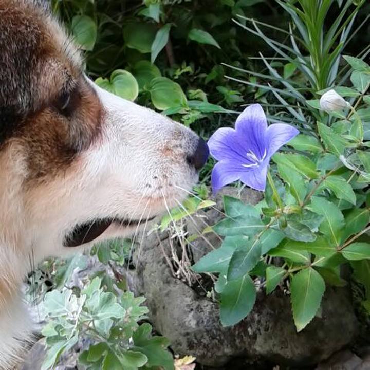 77b4f5bd dd3b 451d 8157 951b3b4e2dc7