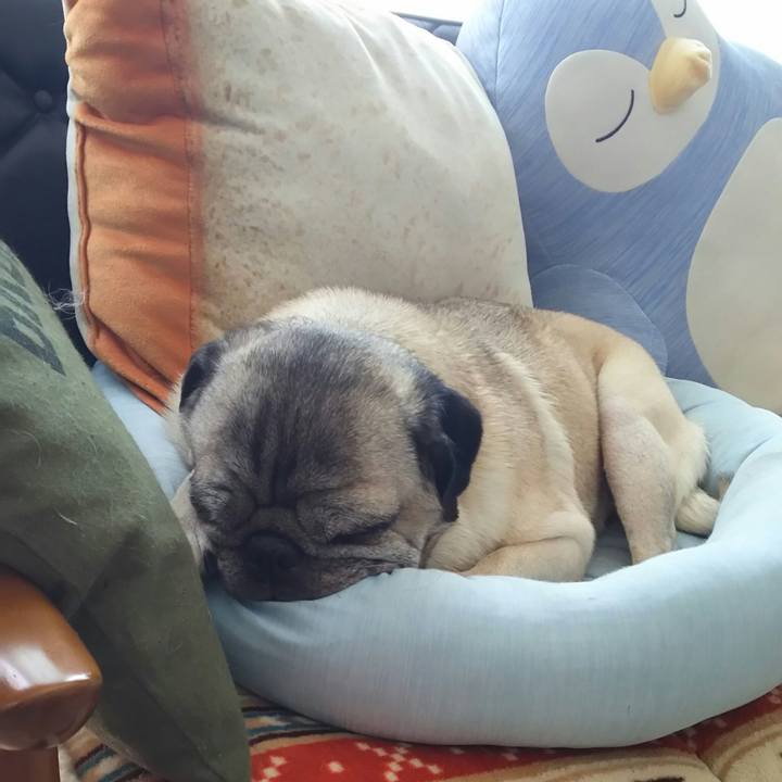 77b50aed 845e 43de 9509 ace42ab81fd0