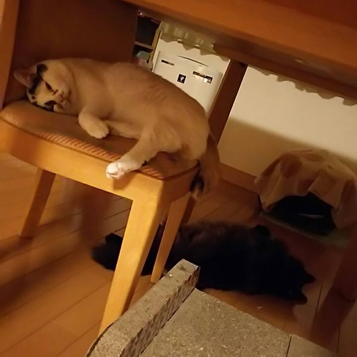 77b55569 17c9 4f17 ad9d b482d53b9fcc