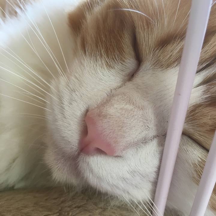 77b572f5 6aab 42dc a538 67943a3bcec3