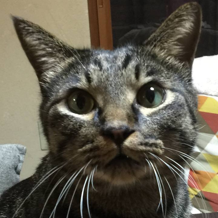 77b57af8 de17 4fff b180 6b01fbce62be