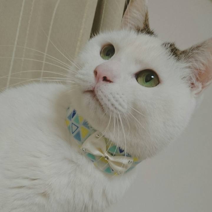 77b62e9e b1a7 49b0 902d 6c5109524c41