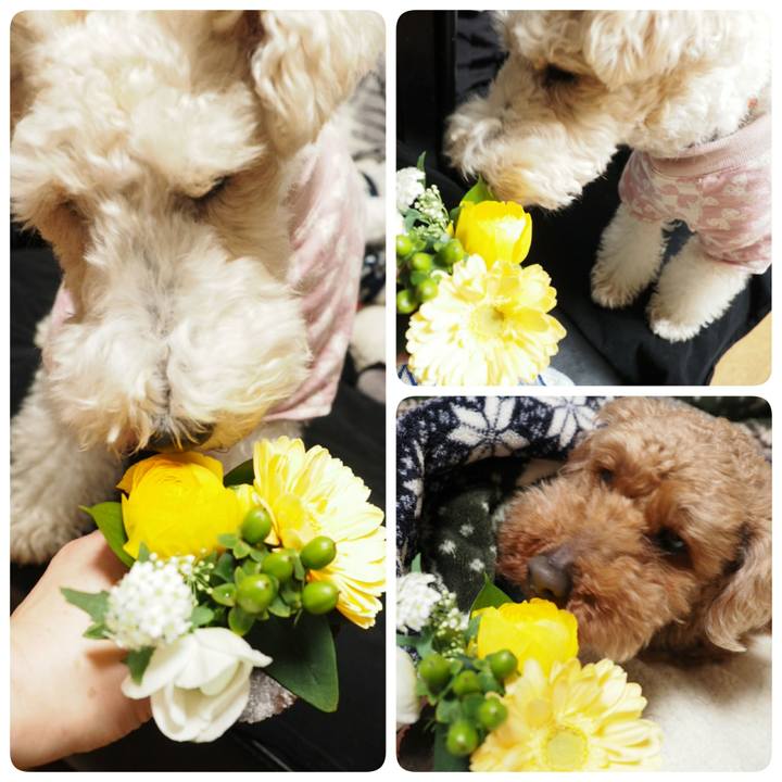 77b6349c 67e6 4e2a ba45 af225a2d2a02