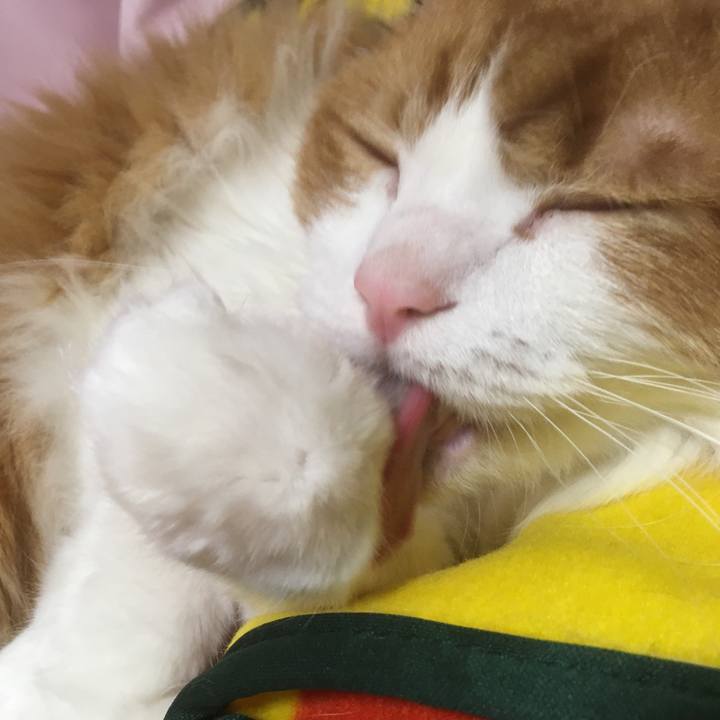 77b6c57f 2dcd 43d5 b0b0 ef986a7f7ec6