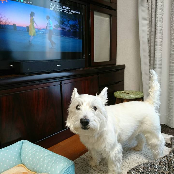 77b6feae 70f6 42aa ab7d 1990c287533c