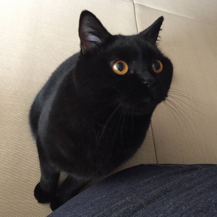 77b748dc 66e9 4ce2 92ea deba8a3e40df