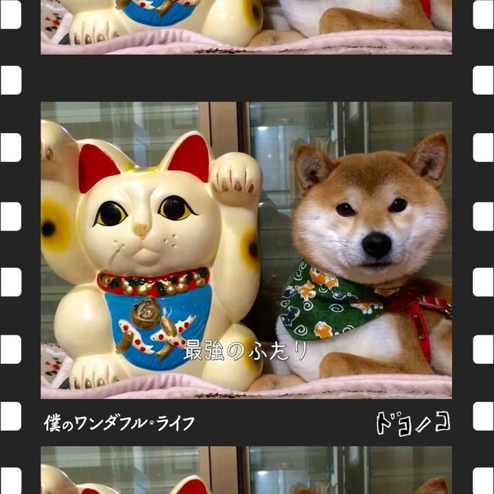 77b8047d 1f78 478e 9320 24276465d98b