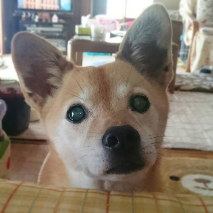 77b85ca9 7c69 4494 a8d5 52504fd76c9b