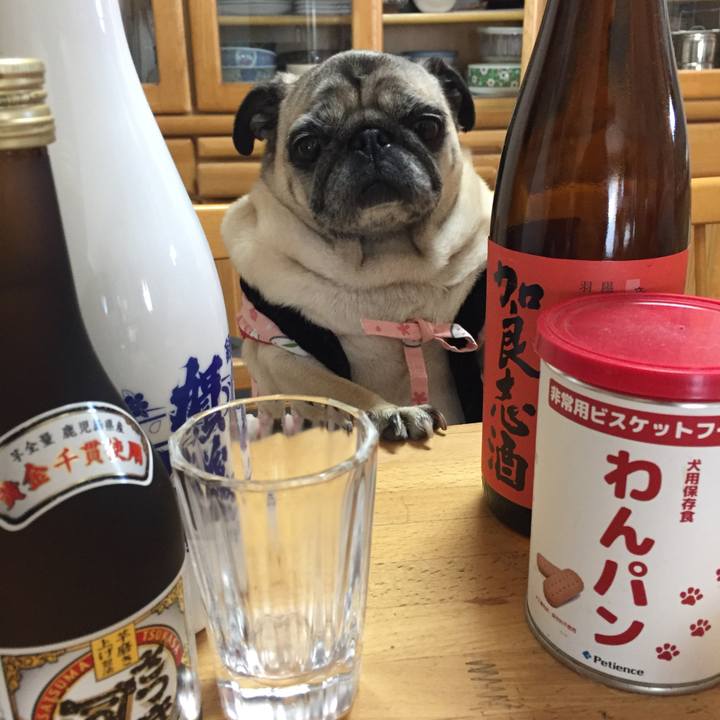 77b9dddf 8d44 4f7b a3ee 3b98dd824c66