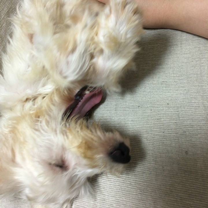 77bac44c 166a 4870 a587 856d6c5b145b