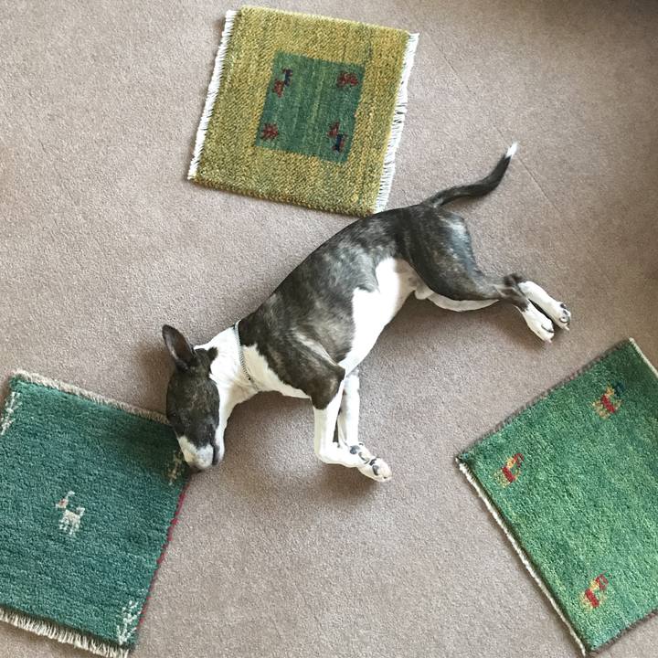 77bb7ae7 1896 4fa5 afc5 00ee4f04d032