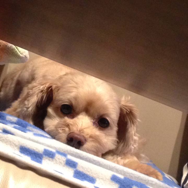 77bbdf25 c42f 4ffe b874 3757f8d9f6ae