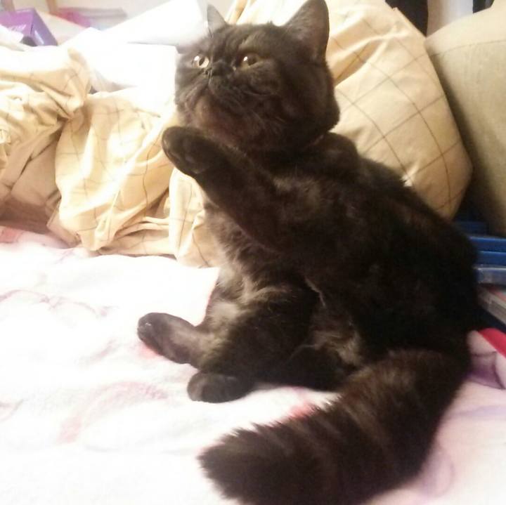 77bc7c4a 72e8 435c b173 0d7c49d263a7