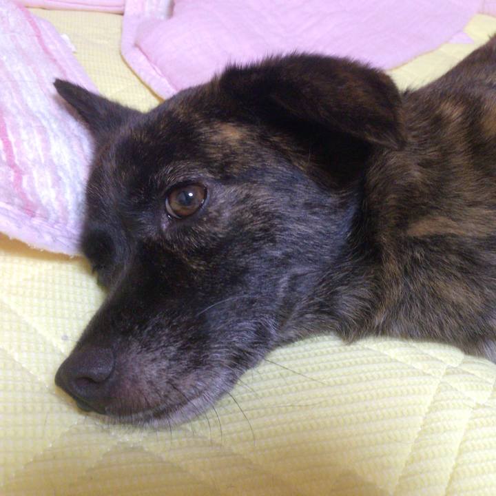 77bcfe9c bb55 4bf0 aad6 c241061d75ee