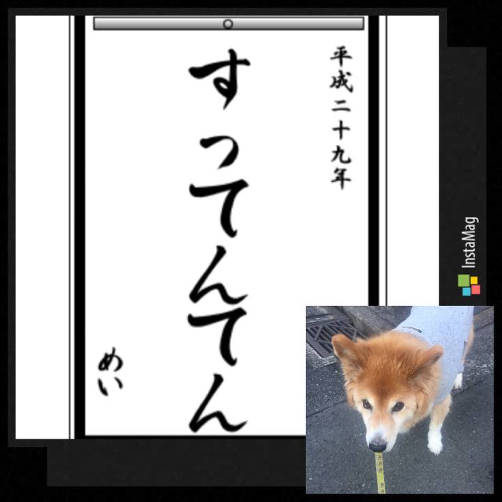 77bd2652 8df6 47c4 a20b 1f2efd5875ce