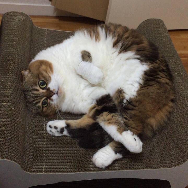 77bd4712 7d31 4ac8 a4a8 369722ff8e28