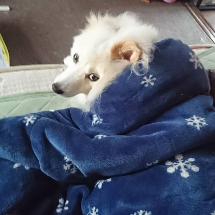 77bda891 94a3 4e4d 9e26 16bc5f336c0e