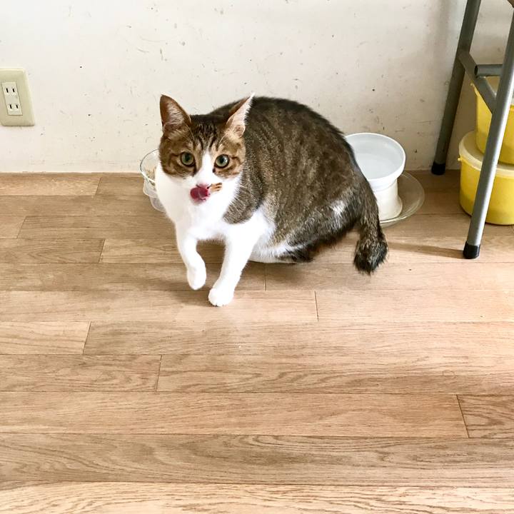 77bdeff5 e6e5 499b beee 3e156d281009