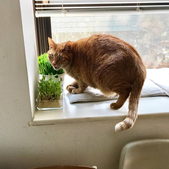 77bf4665 1189 4b6e a1b6 22616af7916f