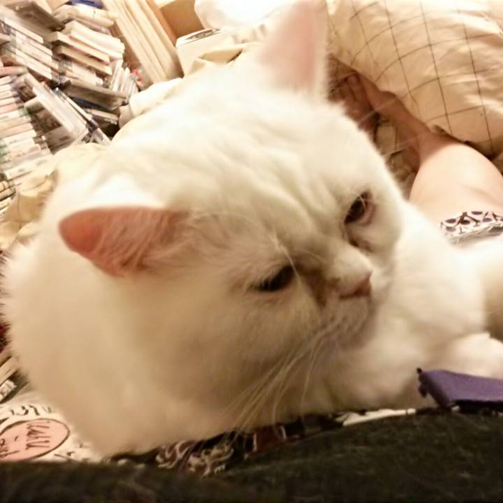 77bfb087 53e6 46d1 9273 e02879e6f0dd