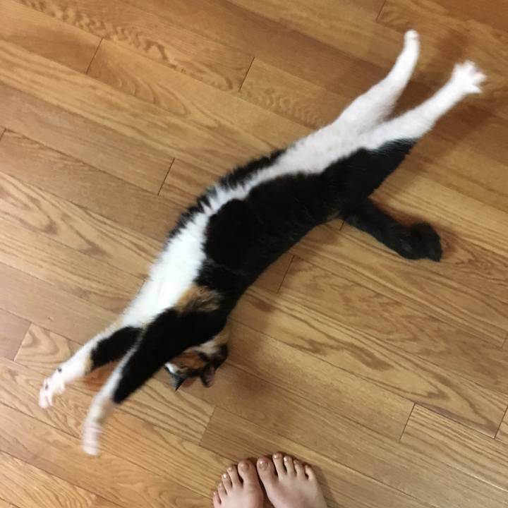 77bfe2a1 32b2 47d4 9eca 449eba1fe8ff