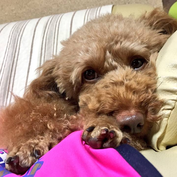 77c01a70 8a84 4ee3 9e6b 640aa7f9bd2a