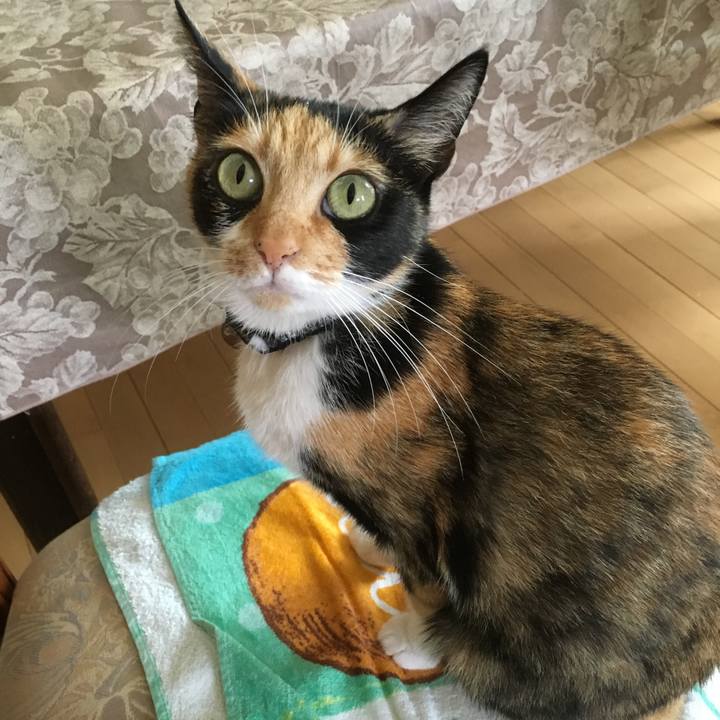 77c057a8 8c6e 43f8 91b0 1370c39c75f4