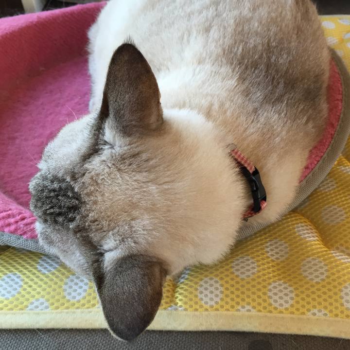 77c0b381 a7f8 4c84 a3e7 7fc109a356f2