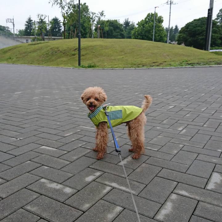 77c1830d b545 4c27 a306 8e71612b8811