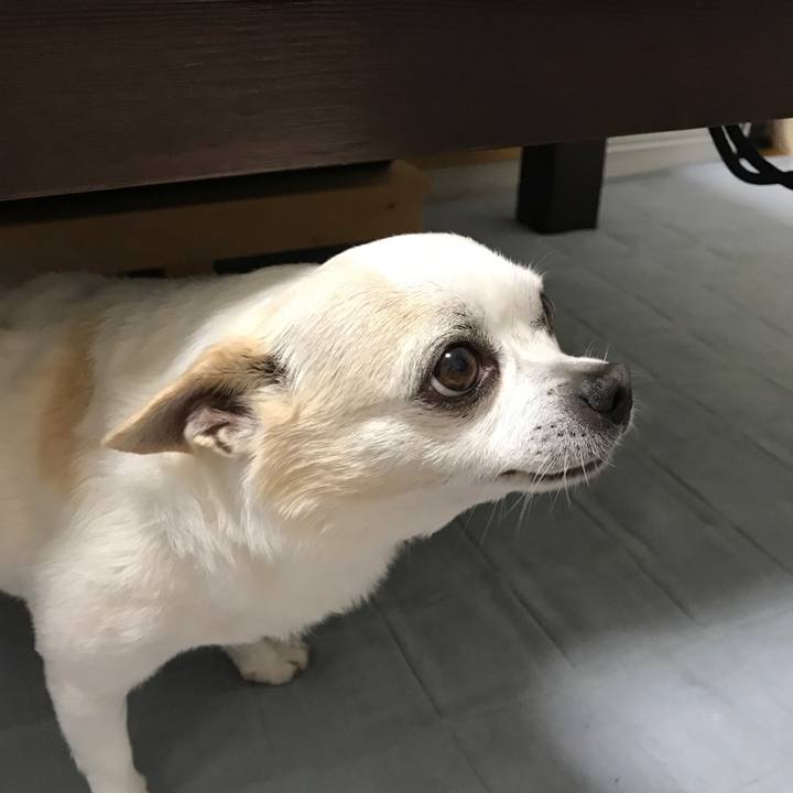 77c22dee 04dc 42f2 aed4 90ac5346d47e