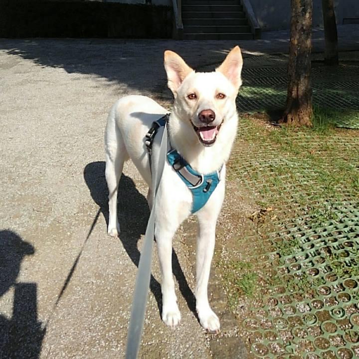 77c2a6f3 584f 497e a27a cfaaa417f0c5