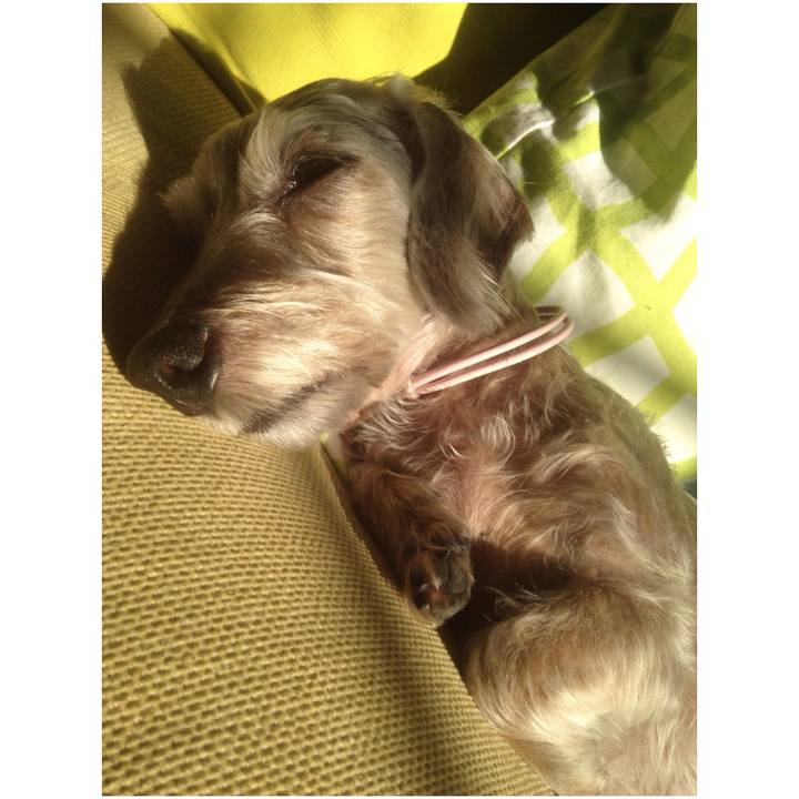 77c31fd9 fdbc 4e69 8064 0251d866f4f3