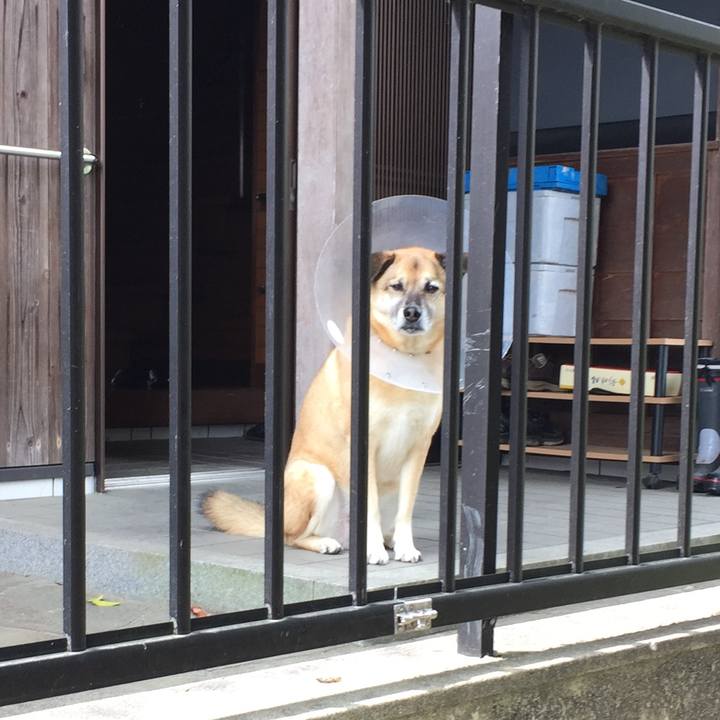 77c334a5 ffd4 45f5 9b67 72f3c658d644