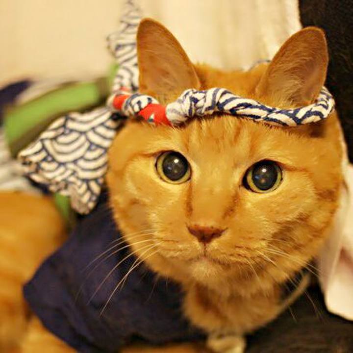 77c45830 a545 47d2 bd77 5a21820144fa