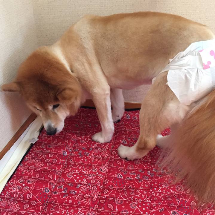 77c4ff06 647c 4da8 af1f 8c585b9793eb