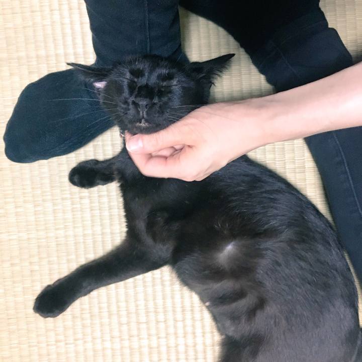 77c5545f 7993 4c2c 843b 0cf24c4cc1d3