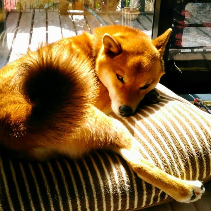 77c6aadf 98e7 402f bbc5 22fb626bff21