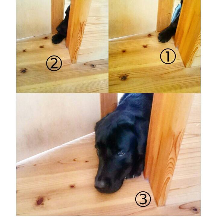 77c743c3 f813 4ac9 a27a a592f58828be