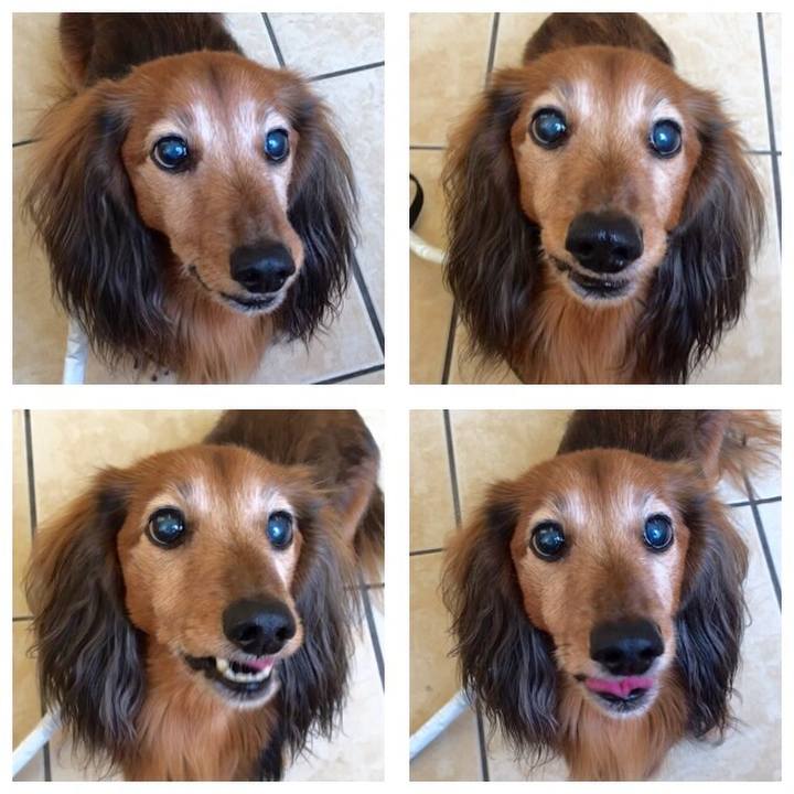 77c7e734 e296 4fb5 9c9e 26e3eda97dd1